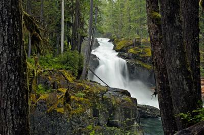Image of Silver Falls, Mount Rainier National Park - Silver Falls, Mount Rainier National Park