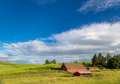 pictures of Palouse - Busby-Johnson Road Barns