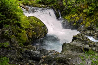 Picture of Stafford Falls, Mount Rainier National Park - Stafford Falls, Mount Rainier National Park