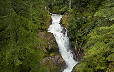 Image of Stafford Falls, Mount Rainier National Park - Stafford Falls, Mount Rainier National Park