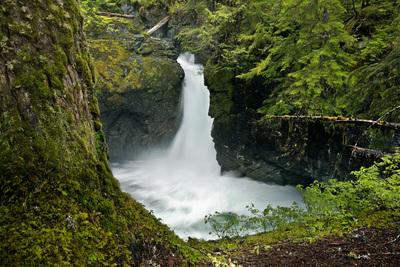 Image of Stafford Falls, Mount Rainier National Park - Stafford Falls, Mount Rainier National Park