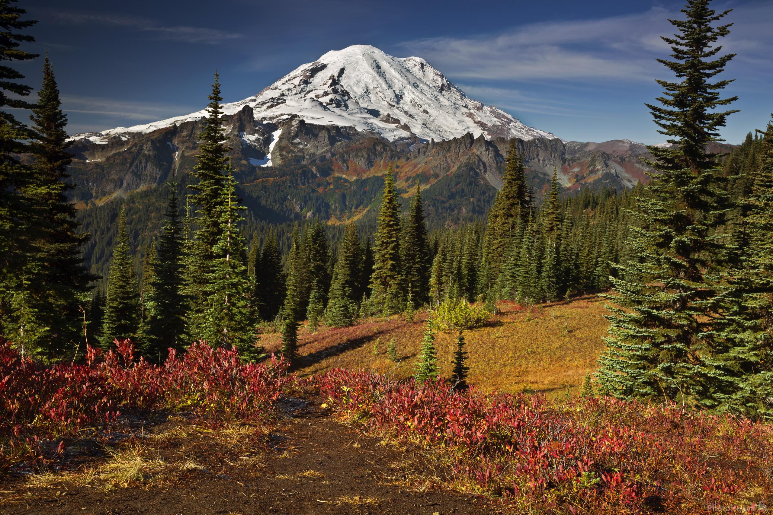 Image of Naches Peak Loop, Mount Rainier National Park by T. Kirkendall and V. Spring