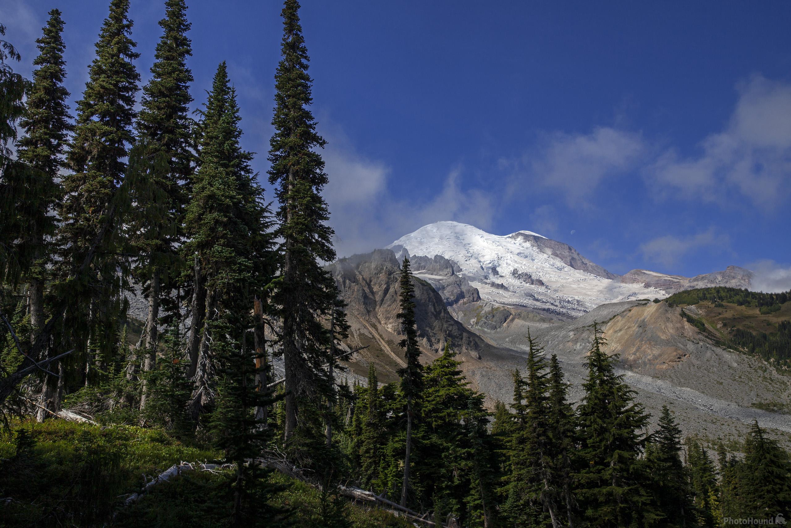 Image of Summerland, Mount Rainier National Park by T. Kirkendall and V. Spring