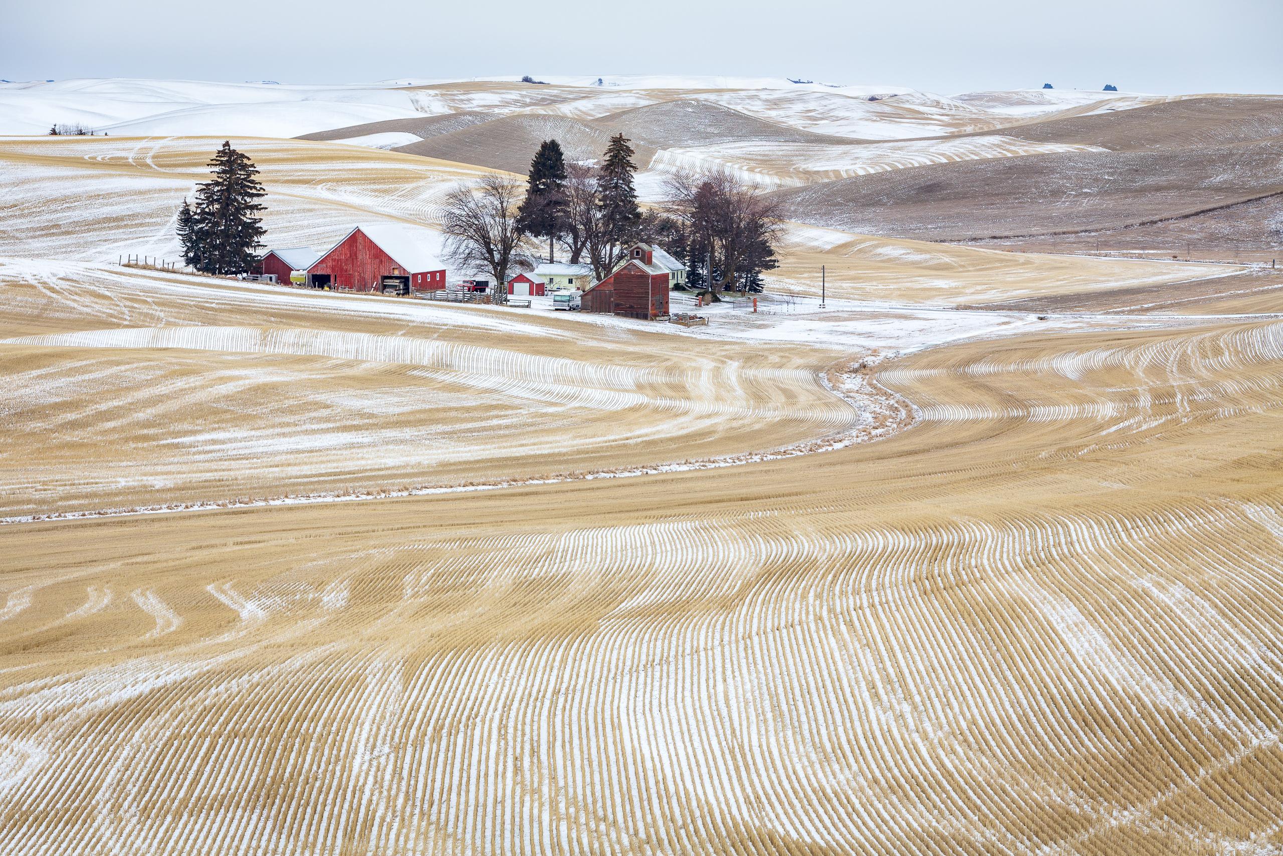 Image of Borgen Road Farm View by Joe Becker