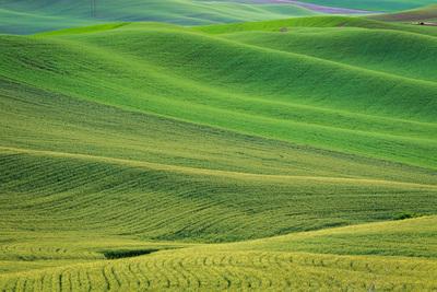 photos of Palouse - Clear Creek Road Viewpoint