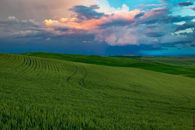 images of Palouse - Clear Creek Road Viewpoint