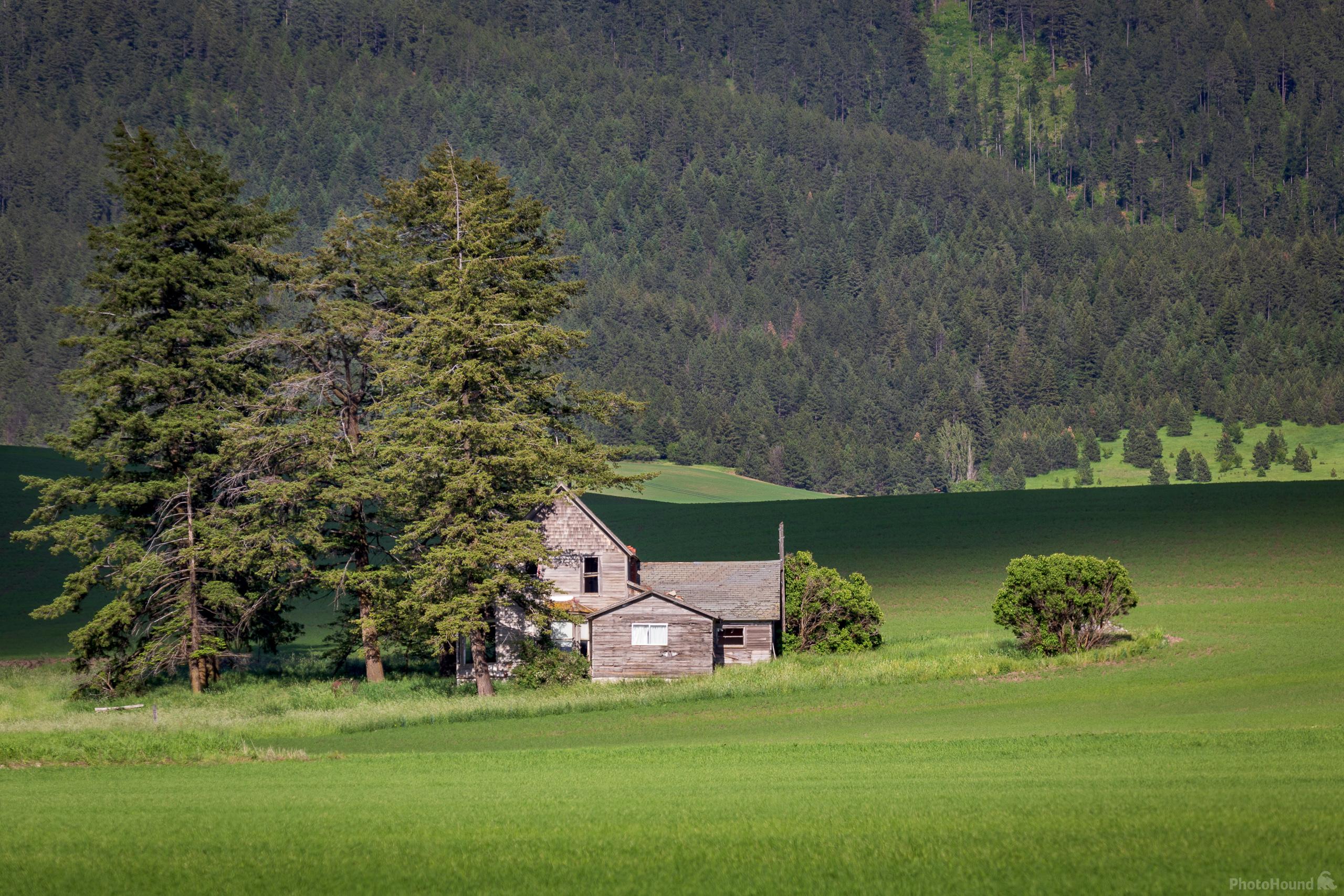 Image of Devine Road Old House and Barn by Joe Becker
