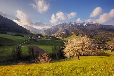 Trentino South Tyrol instagram locations - Val di Funes - Santa Maddalena Church