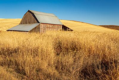 images of Palouse - Faught Road Barn