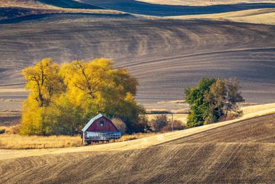 photo locations in Palouse - Faught Road Viewpoint