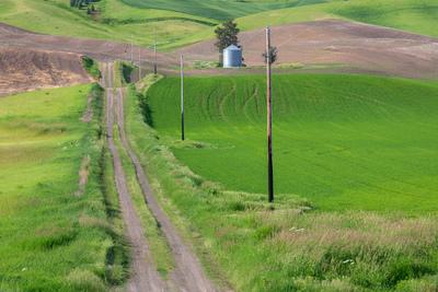 pictures of Palouse - File Road Viewpoint