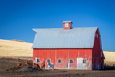 pictures of Palouse - FR Martin Road Barn