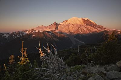 Picture of Dege Peak, Mount Rainier National Park - Dege Peak, Mount Rainier National Park