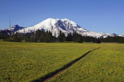 Image of Grand Park, Mount Rainier National Park - Grand Park, Mount Rainier National Park