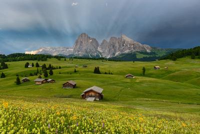 Trentino South Tyrol instagram locations - Alpe di Siusi - Classic Location