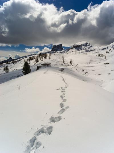 Cortina D Ampezzo instagram spots - Passo Falzarego