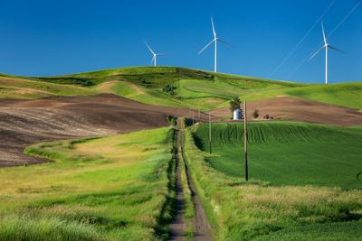 photos of Palouse - File Road Viewpoint