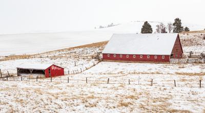 pictures of Palouse - Busby-Johnson Road Barns