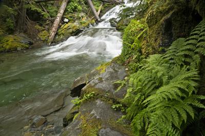 Pierce County photography locations - Chenais Falls, Mount Rainier National Park