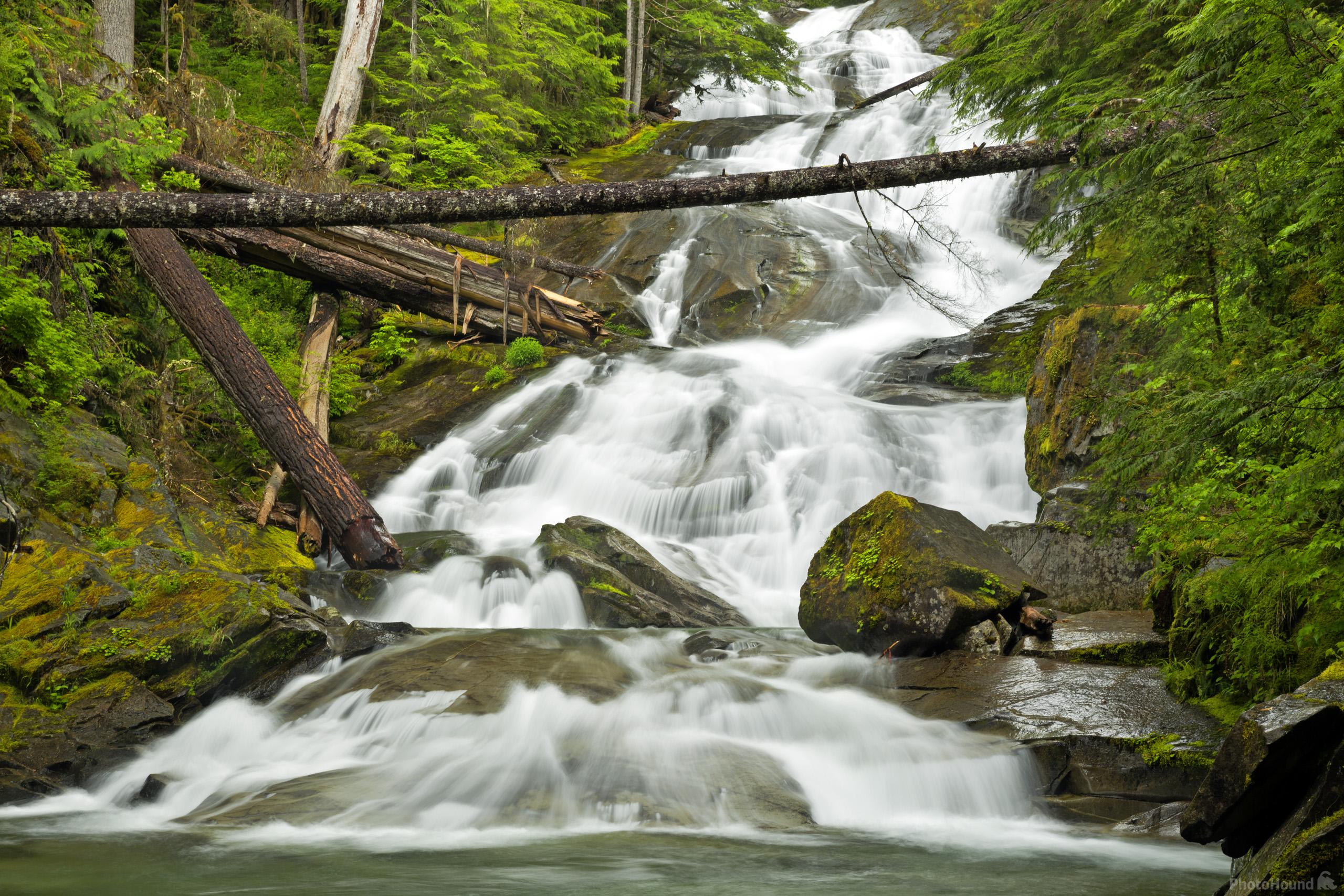 Image of Chenais Falls, Mount Rainier National Park by T. Kirkendall and V. Spring