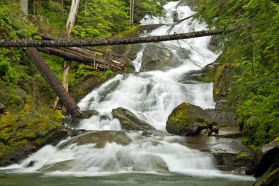 Picture of Chenais Falls, Mount Rainier National Park - Chenais Falls, Mount Rainier National Park