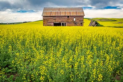 photo locations in Palouse - George Comegys Farm Barn