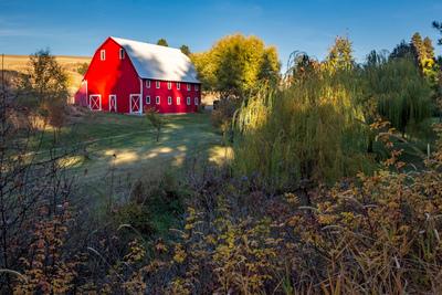 pictures of Palouse - Green Hollow Road Barn