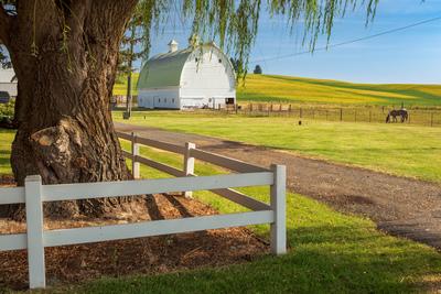 Picture of Highway 6 Barn - Highway 6 Barn