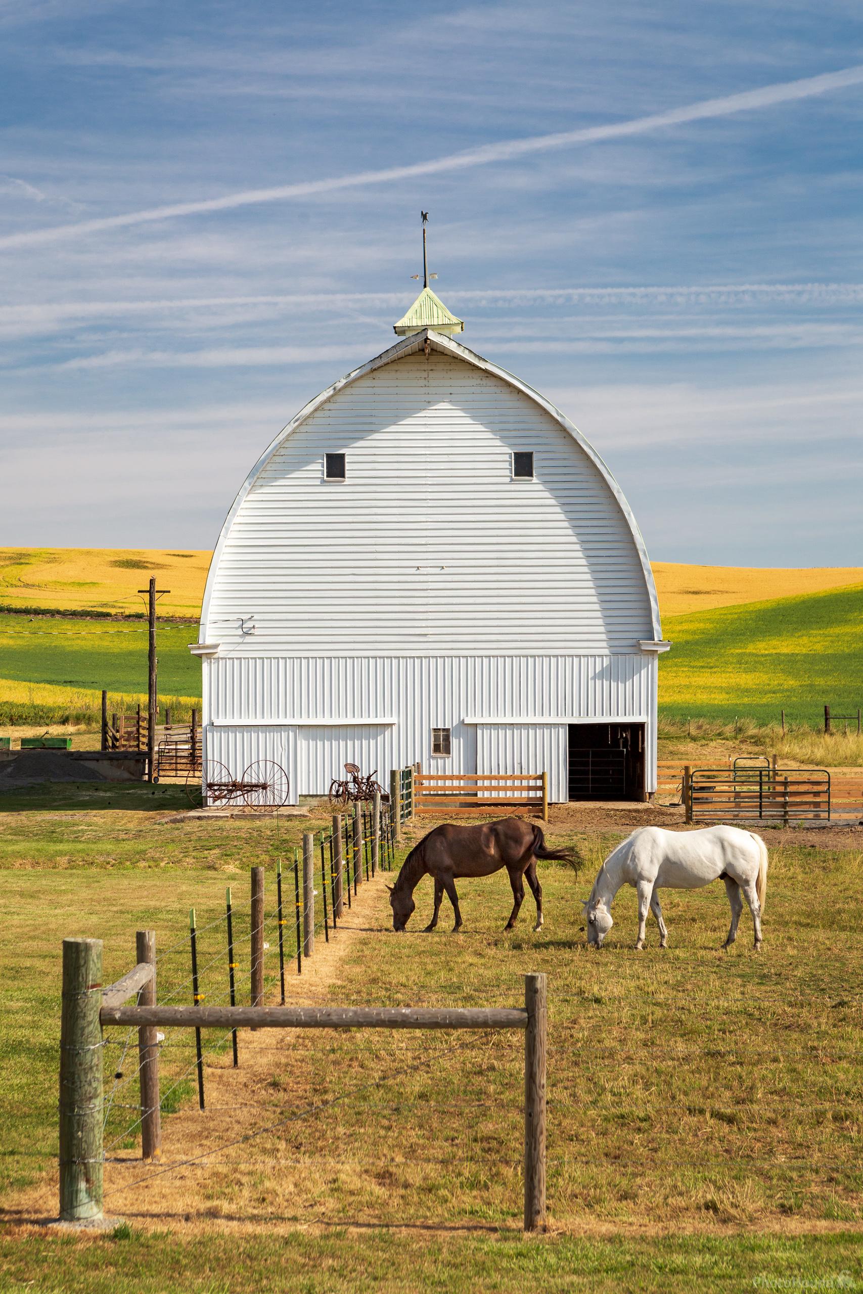 Image of Highway 6 Barn by Joe Becker