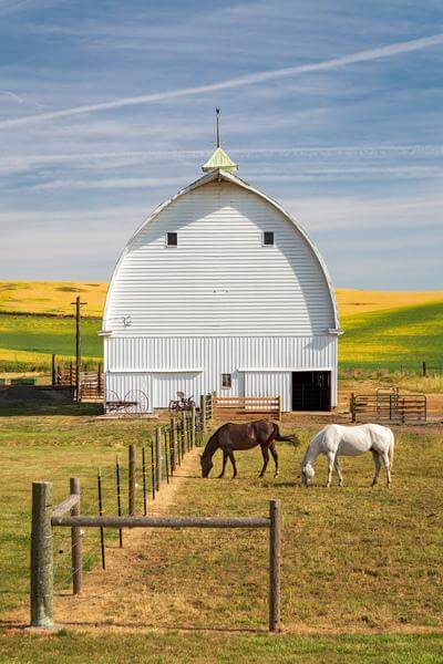 images of Palouse - Highway 6 Barn