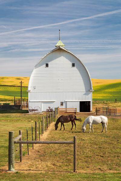 Picture of Highway 6 Barn - Highway 6 Barn