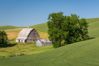 images of Palouse - HIlty Road Barn