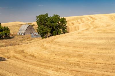 pictures of Palouse - HIlty Road Barn
