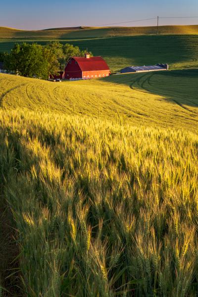 pictures of Palouse - Hoffman Road Barn