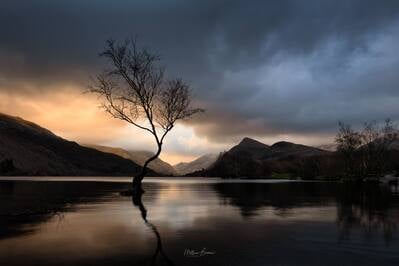 Gwynedd photo spots - Lone Tree