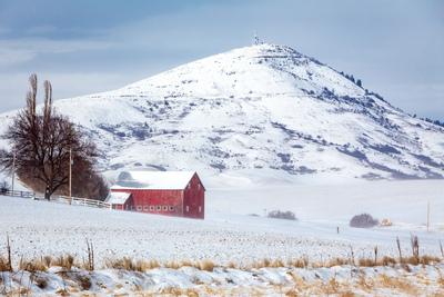 pictures of Palouse - Cronk Road Barn and Steptoe View