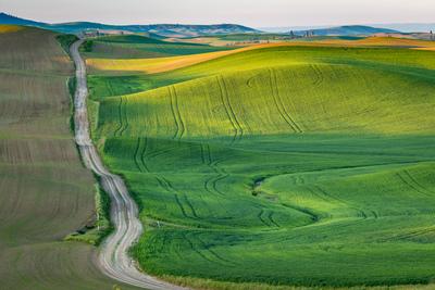 photo locations in Palouse - Huggins Road Viewpoint