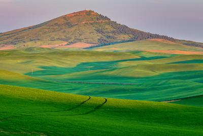 pictures of Palouse - Huggins Road Viewpoint