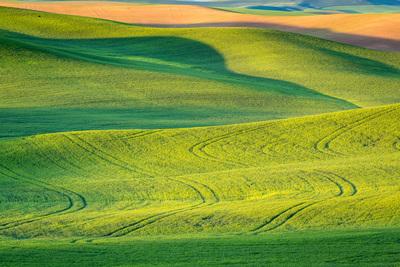 photos of Palouse - Huggins Road Viewpoint