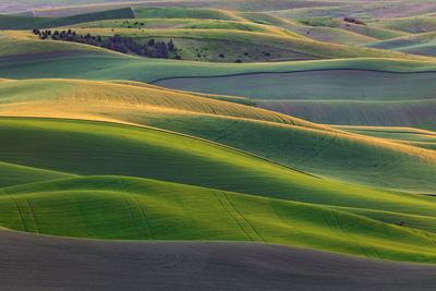 photography locations in Palouse - Marvin Wells Road Viewpoint