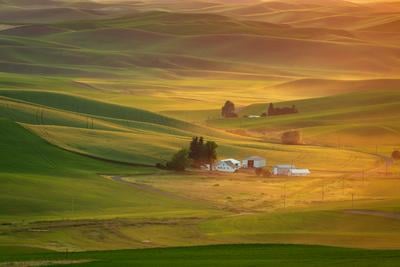 photos of Palouse - Marvin Wells Road Viewpoint