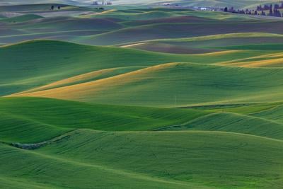 images of Palouse - Marvin Wells Road Viewpoint