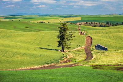 photography locations in Palouse - Pittman Road Viewpoint