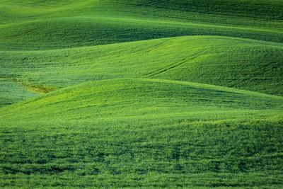 images of Palouse - Pittman Road Viewpoint
