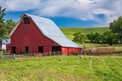 photography locations in Whitman County - Prune Orchard Road Barn