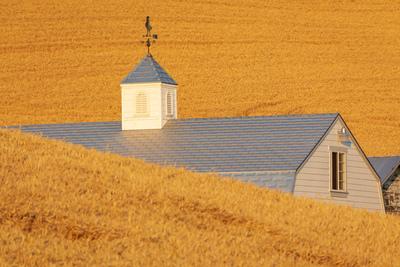 photos of Palouse - Prune Orchard Road Barn