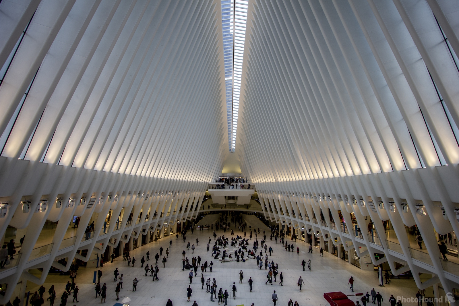 Image of The Oculus - Interior by Ross Hicks