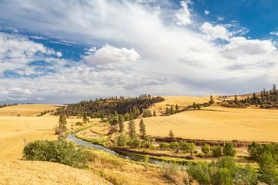 Whitman County photo locations - Shields Road, Palouse River Viewpoint