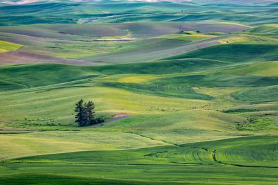 images of Palouse - Skyline Drive Viewpoints