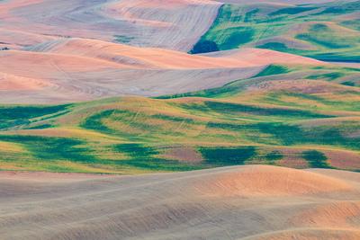 pictures of Palouse - South Steptoe Butte Viewpoint